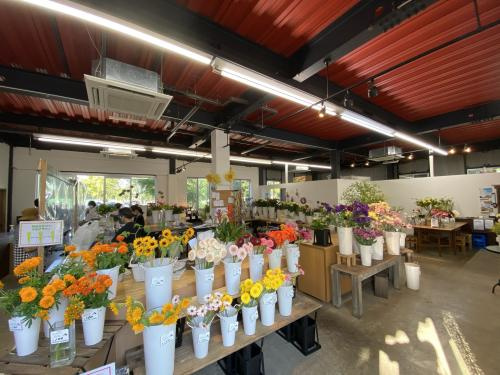 花屋四季情報ページ 保土ヶ谷区の不動産ならコノミハウジング