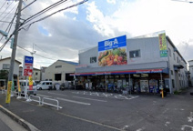 ビッグ・エー 江戸川本一色店