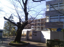 世田谷区立船橋東保育園