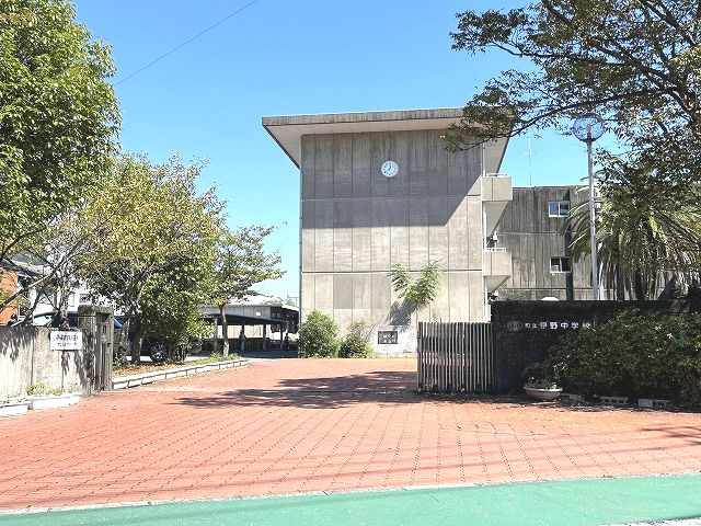 の画像