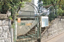 幼稚園 鴬谷さくら幼稚園