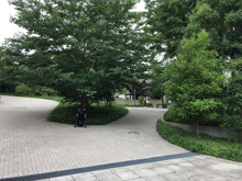 渋谷区立うぐいす公園