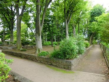 松渓公園の画像1