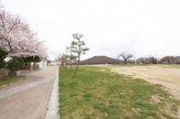 土塔町公園