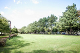 袖ケ浦東近隣公園