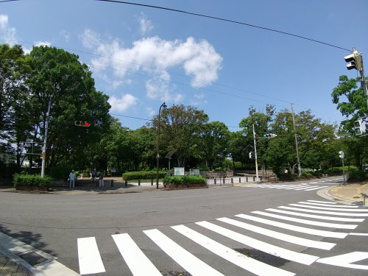 大仙公園の画像1