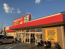 ツルハドラッグ 紀三井寺店