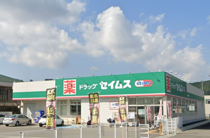 ドラッグセイムス 海南野上店の画像1