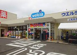 ウエルシア上尾原市店の画像1