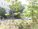さくら原っぱ緑地