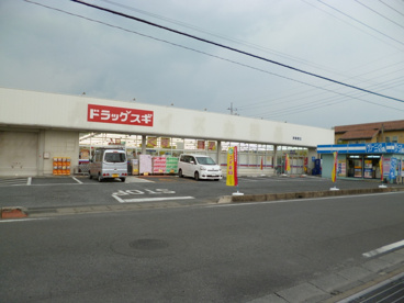 ドラックスギ高崎飯塚店の画像1