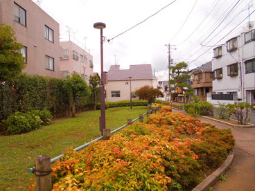 世田谷区立大原かるがも公園の画像1