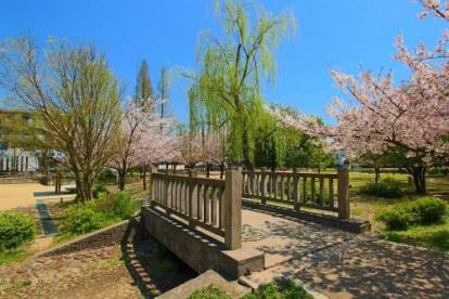金岡公園の画像1