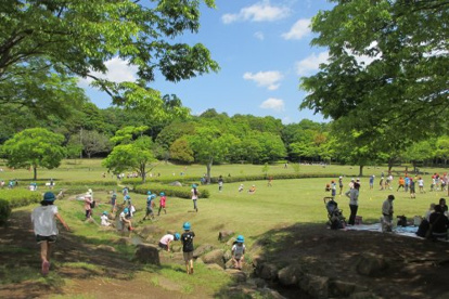 21世紀の森と広場の画像1