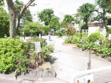 公園 新宿区立大東橋公園