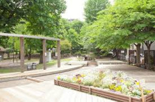 公園 新宿区立北柏木公園