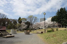 公園 大久保三角公園