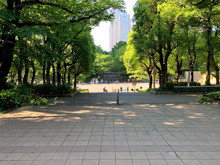 新宿区立新宿中央公園