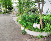 新宿区立けやき児童遊園