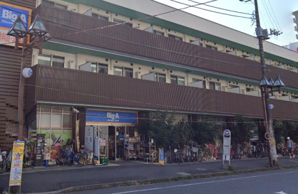 ビッグ・エー 柏南柏店の画像1