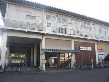 増尾の画像1