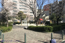 新高東公園