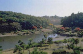 公園 こども自然公園