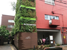 しんえい子ども園　もくもく