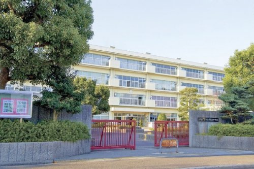 の画像
