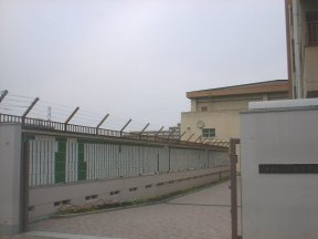 の画像