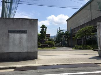 の画像