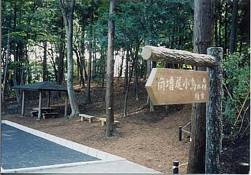 増尾緑地の画像1