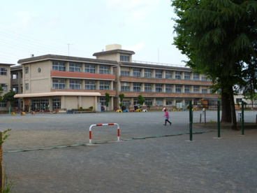  新高尾小学校の画像1