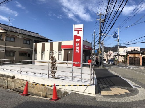 の画像