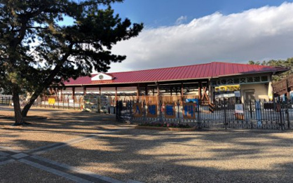 浜寺公園交通遊園の画像1