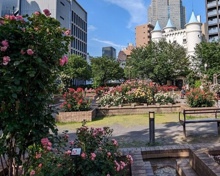 公園 赤坂氷川公園