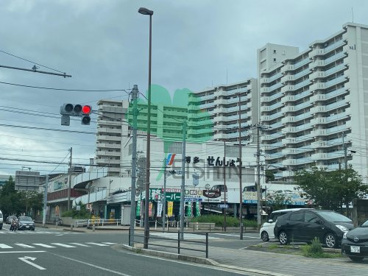 博多せんしょうの画像1