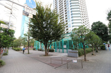 公園 白高児童遊園