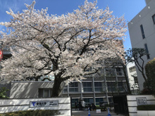 東海大学 高輪キャンパス