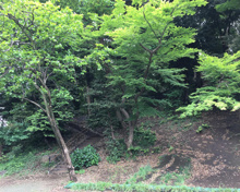 公園 高輪森の公園