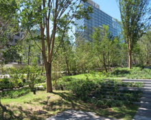 虎ノ門ヒルズ ステップガーデン