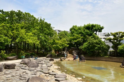 神谷堀公園の画像1