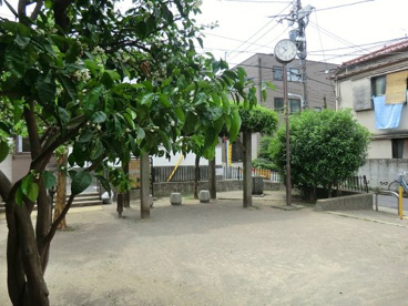 氷川みかん公園の画像1