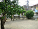 氷川みかん公園の画像