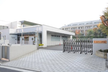 幼稚園 若葉会幼稚園