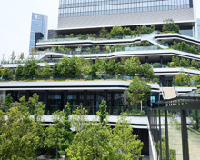 公園 竹芝新八景