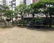 久国神社境内遊び場