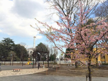 下馬中央公園の画像1