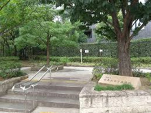 南青山7丁目緑地