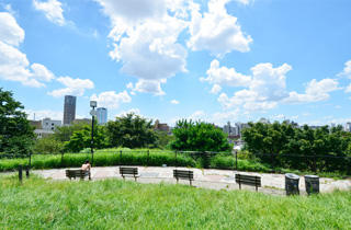 西郷山公園の画像1